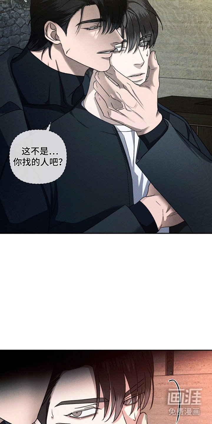 第11章：调查