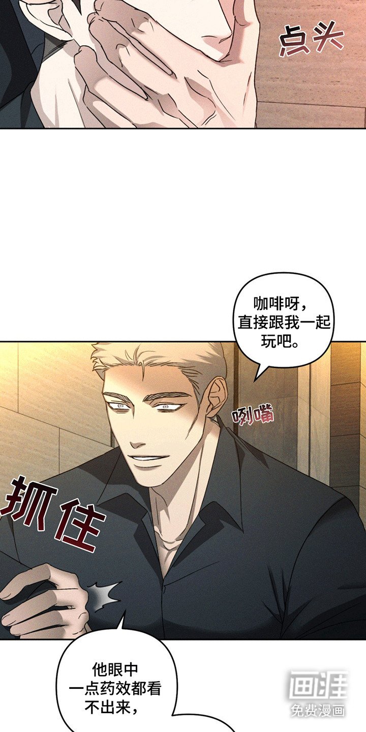 第11章：调查