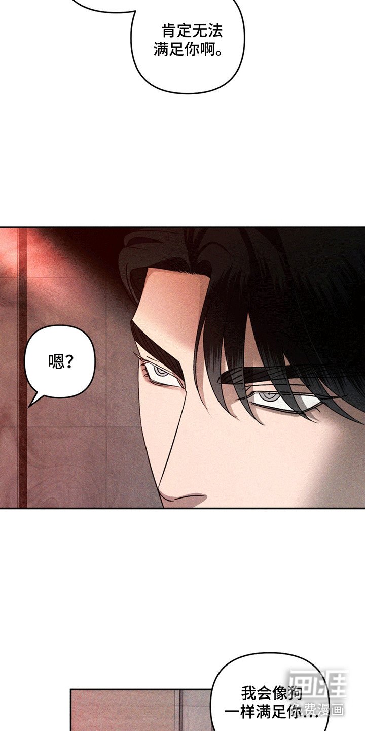 第11章：调查