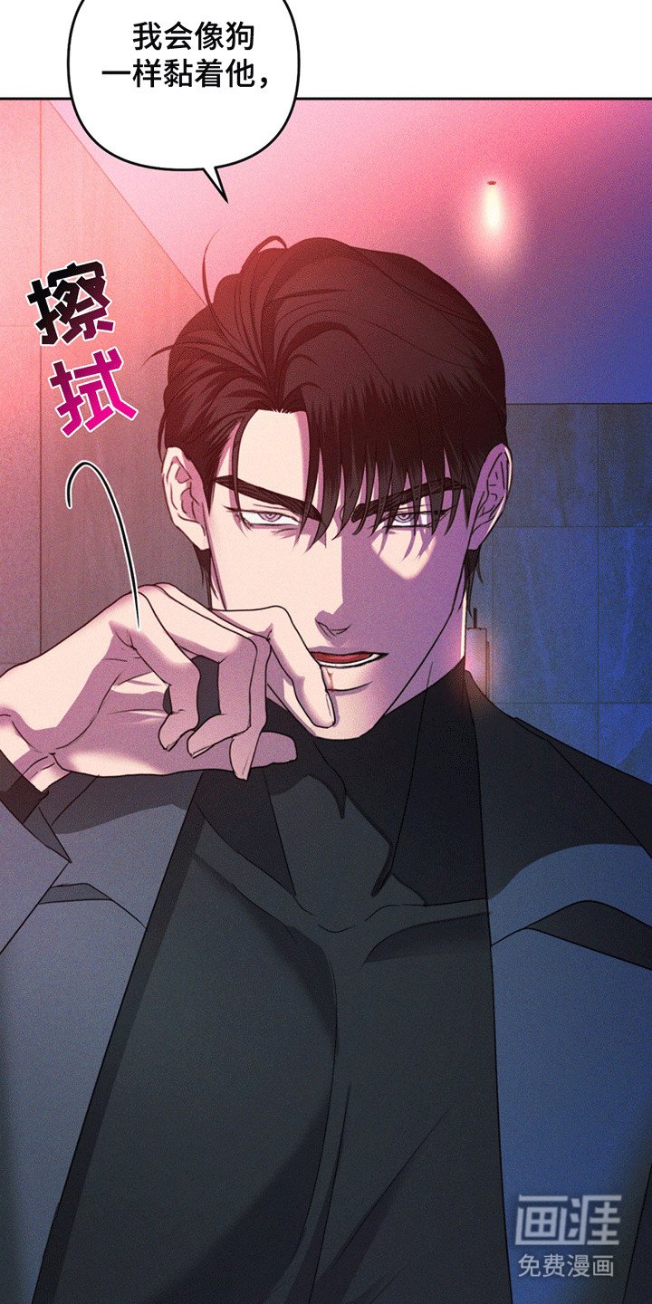 第11章：调查