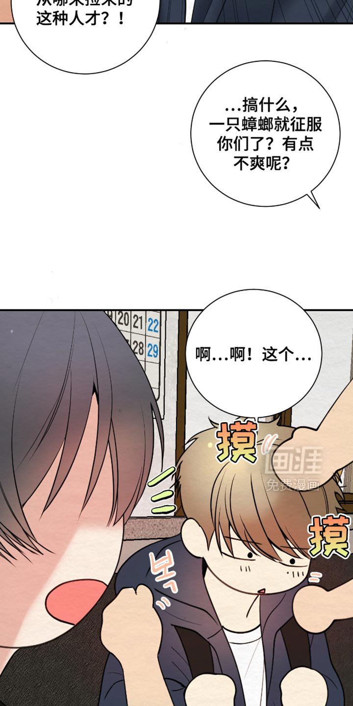 第20章：高级人力