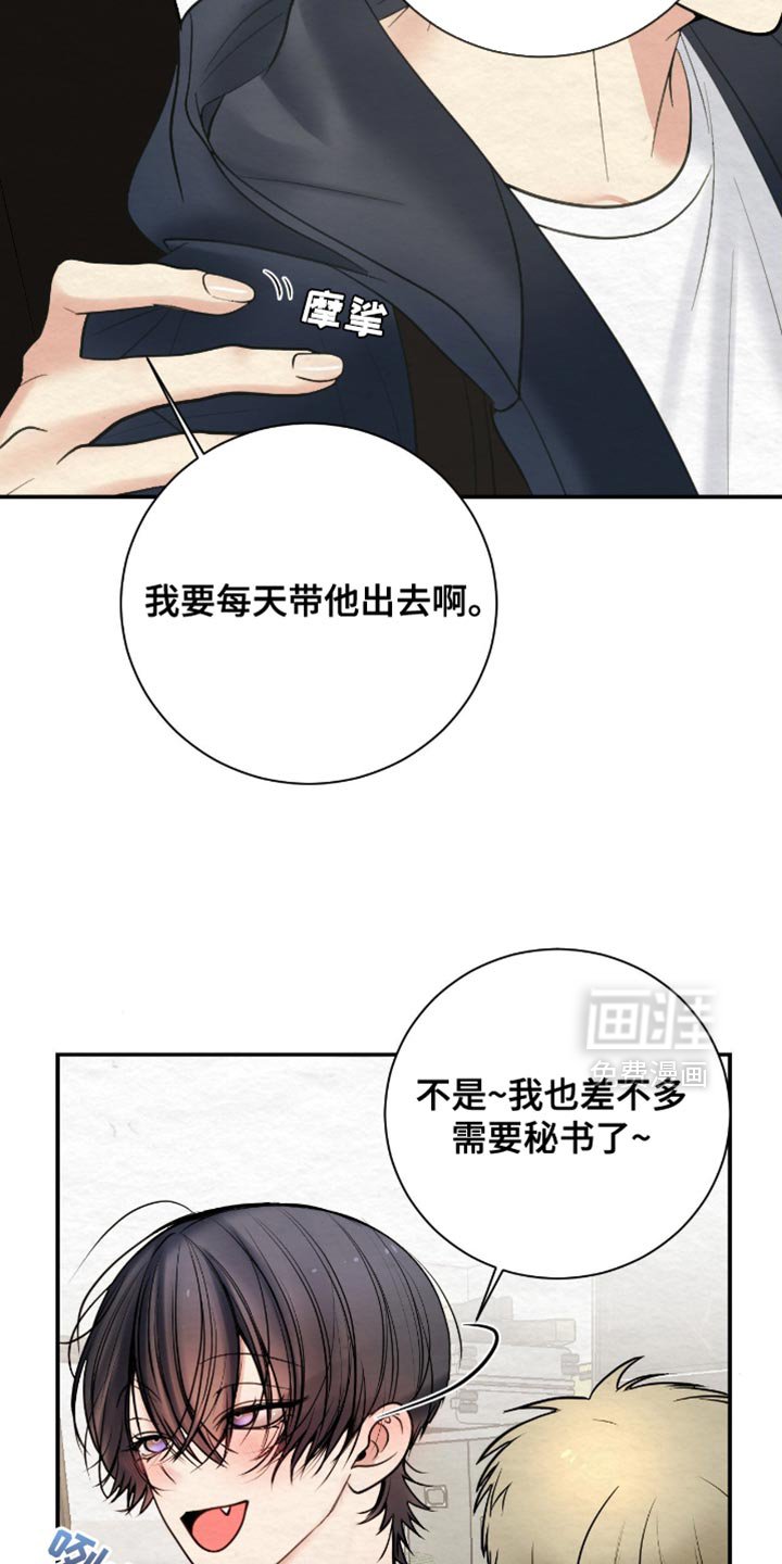 第20章：高级人力