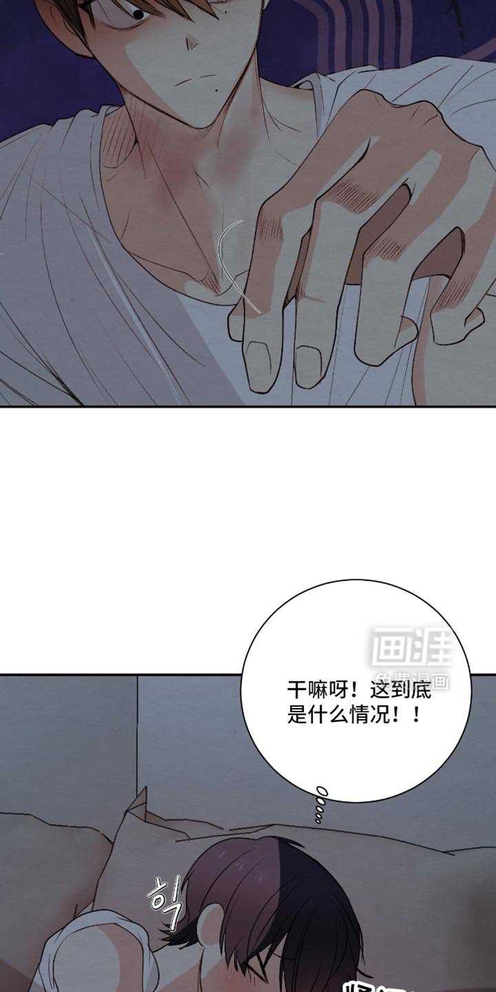 第29章：没有安慰到你吧？