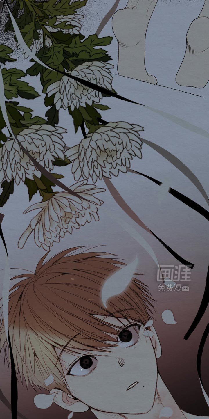 第30章：真是个怪人