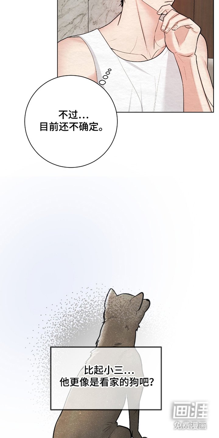 第8章：也行能给我答案