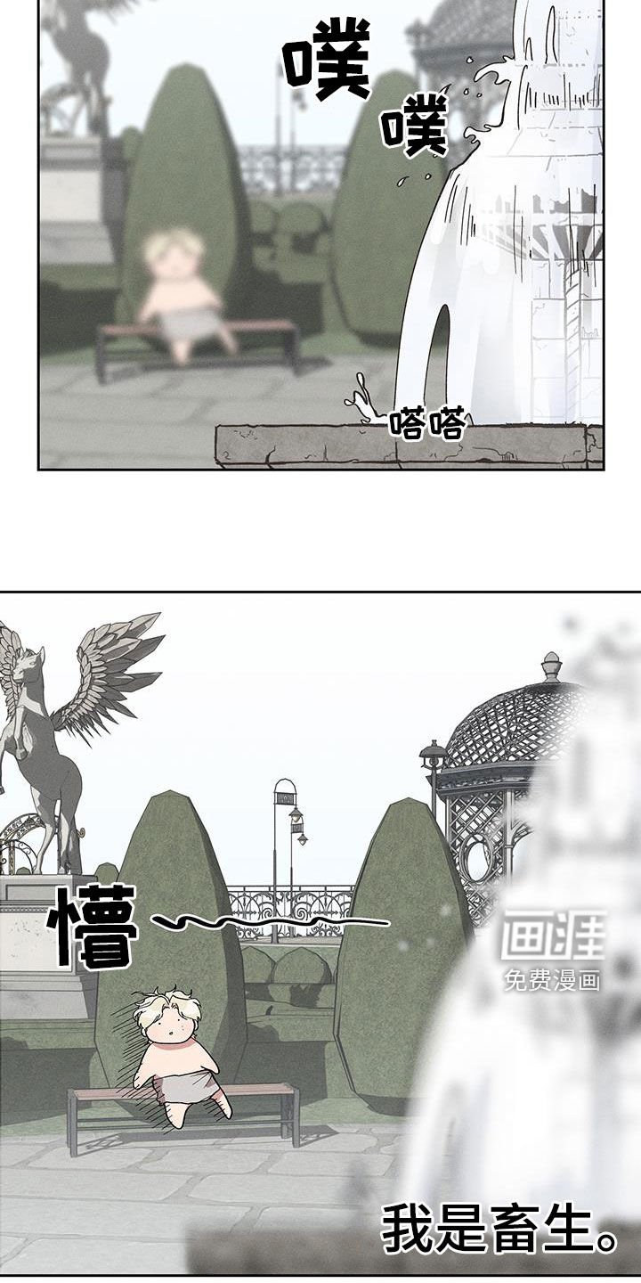 第15章：禽兽