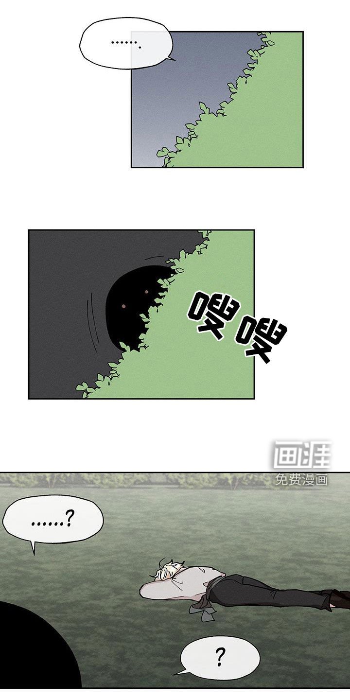 第25章：圆滚滚的鸟