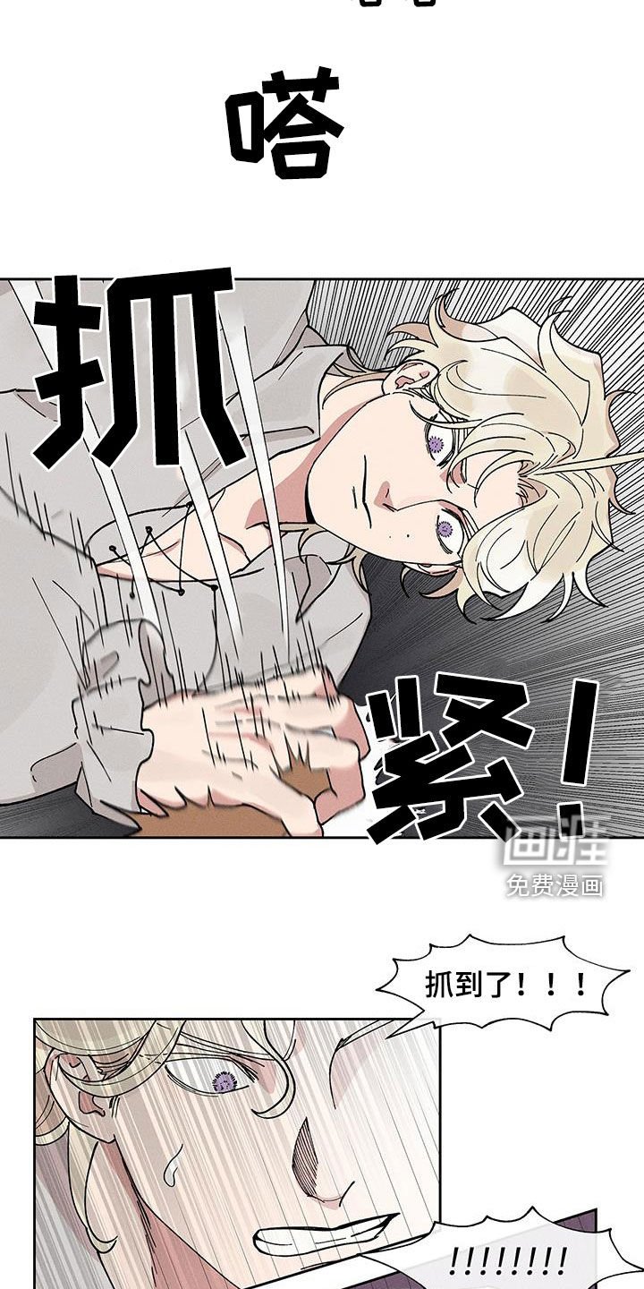 第25章：圆滚滚的鸟