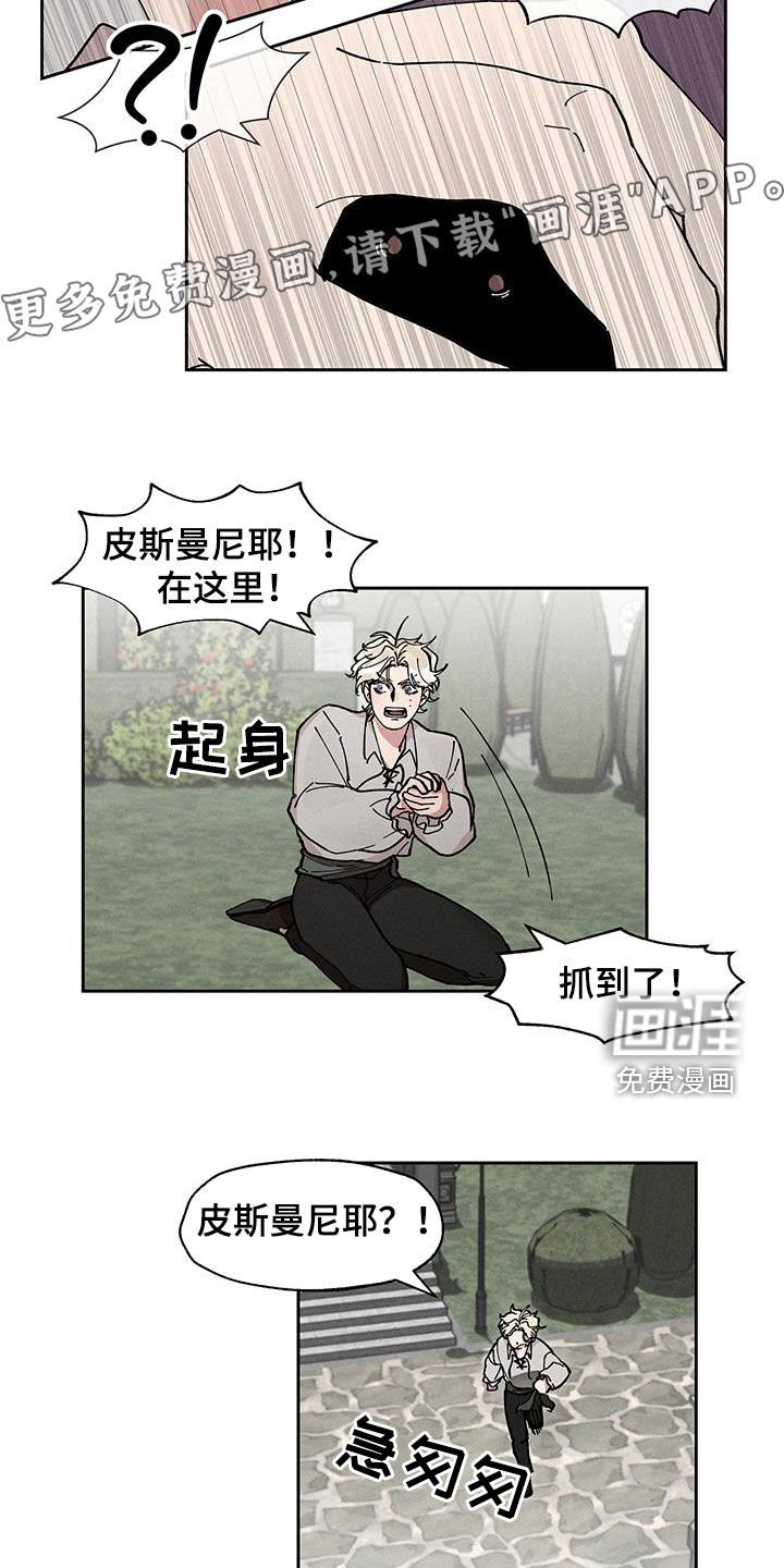 第25章：圆滚滚的鸟