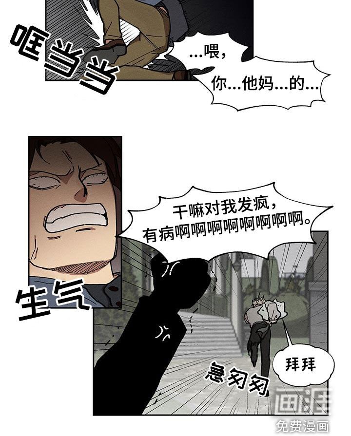 第25章：圆滚滚的鸟