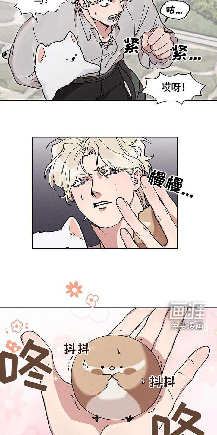 第25章：圆滚滚的鸟