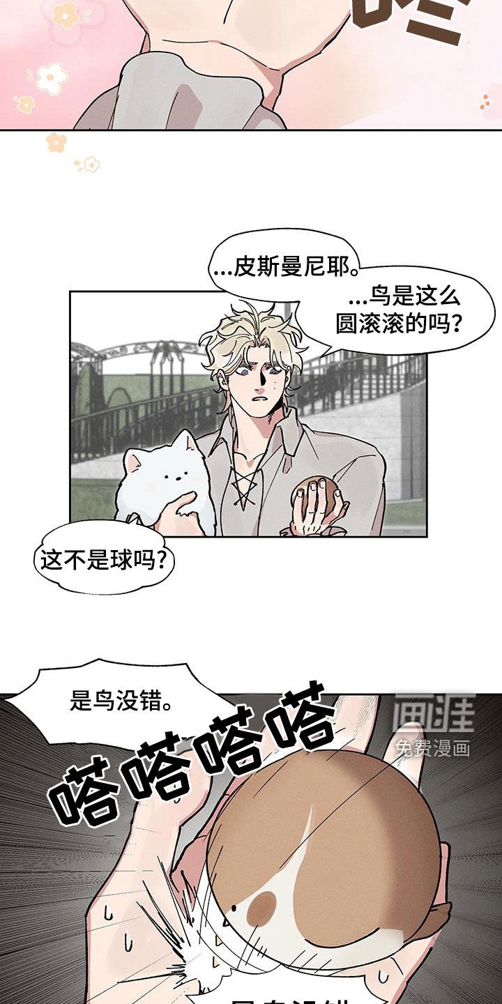 第25章：圆滚滚的鸟