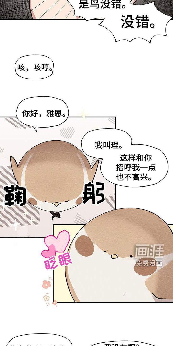 第25章：圆滚滚的鸟