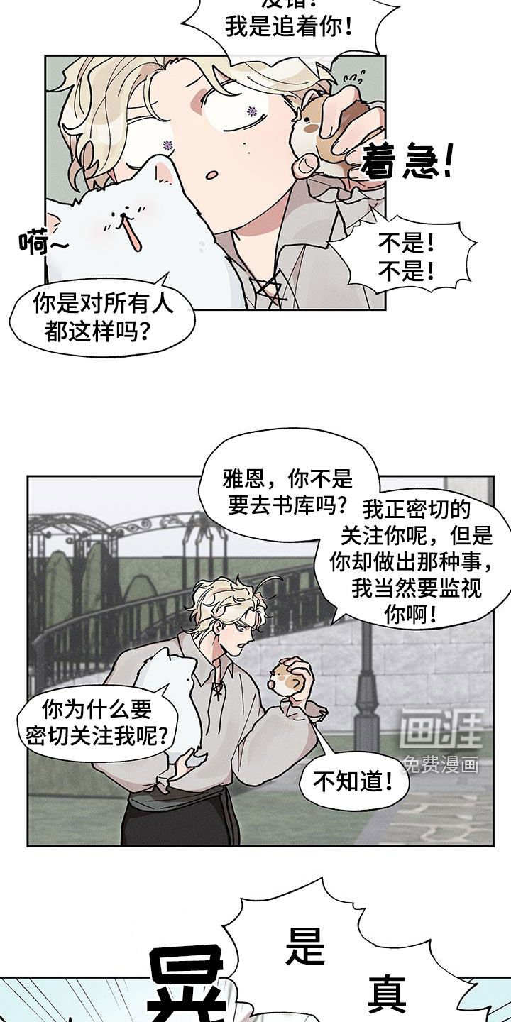 第25章：圆滚滚的鸟