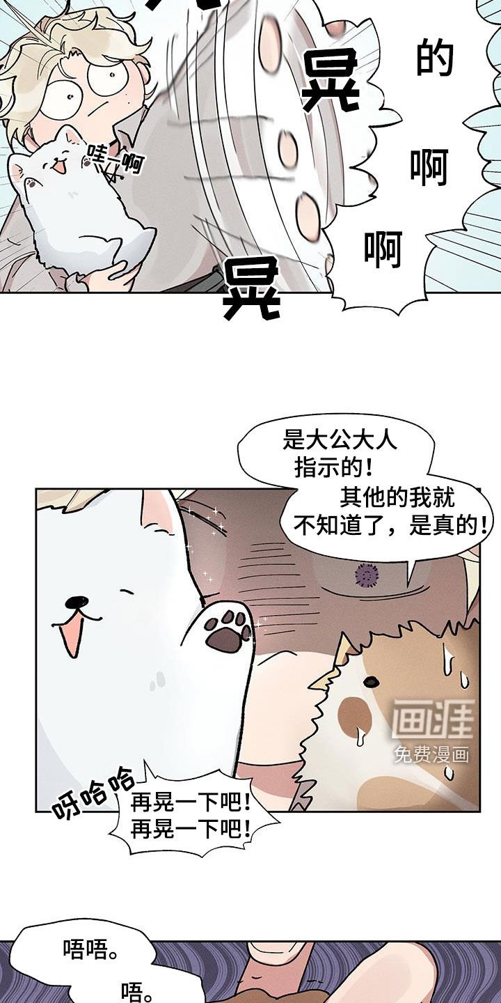 第25章：圆滚滚的鸟