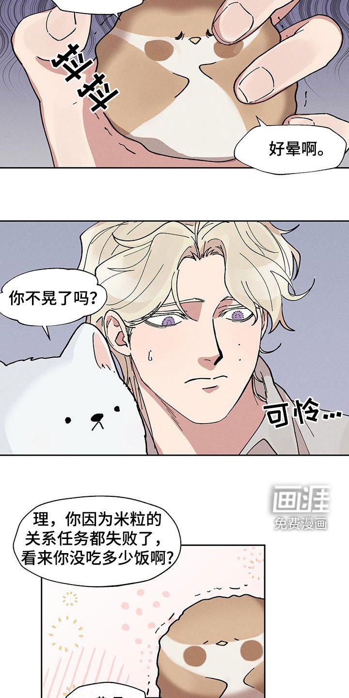 第25章：圆滚滚的鸟