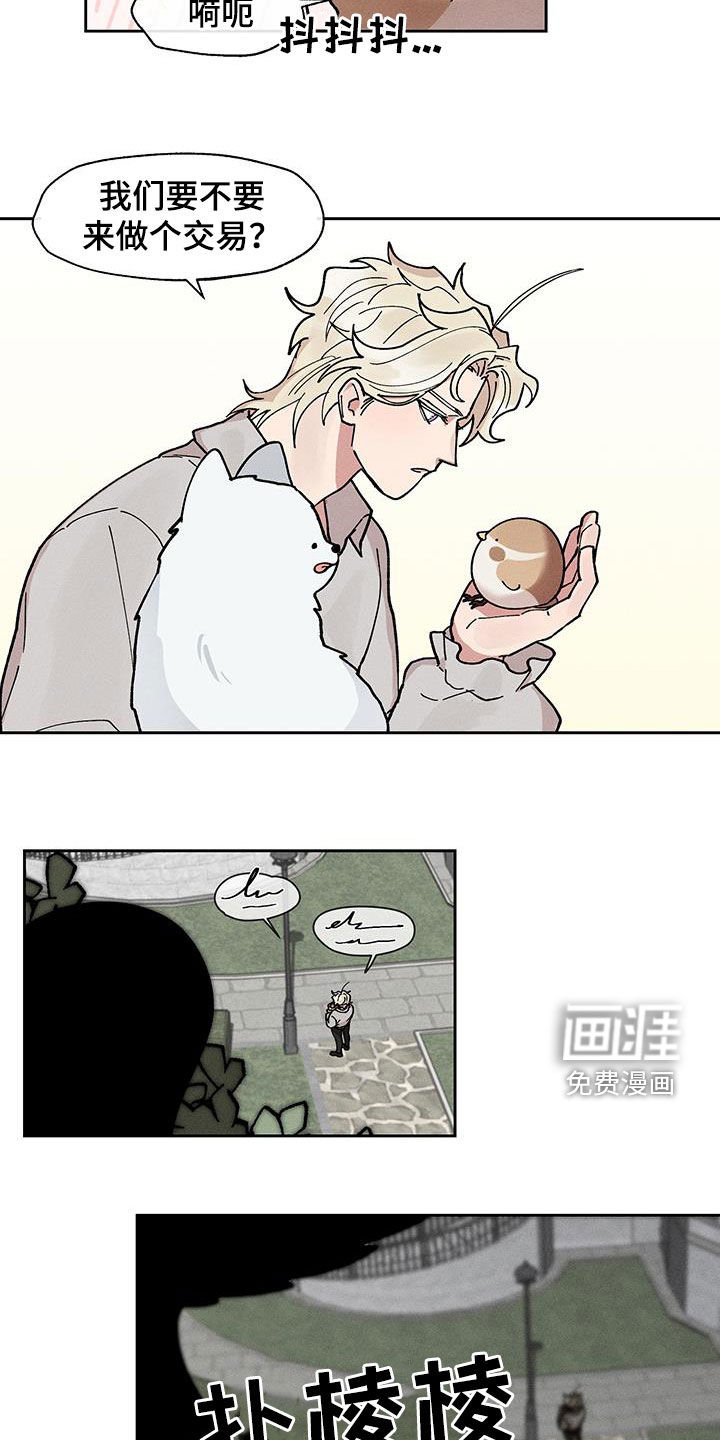 第25章：圆滚滚的鸟