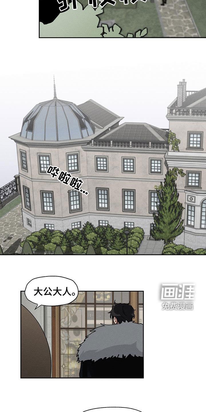 第25章：圆滚滚的鸟