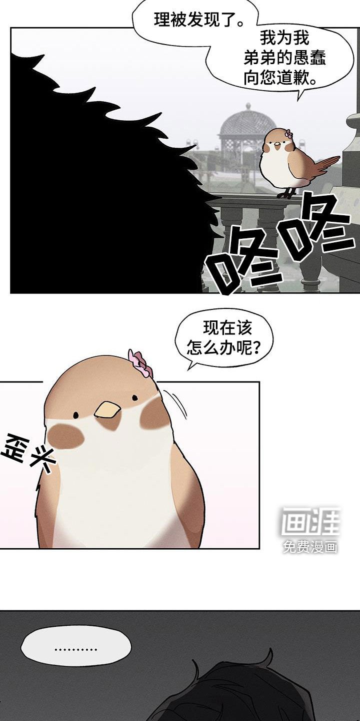第25章：圆滚滚的鸟