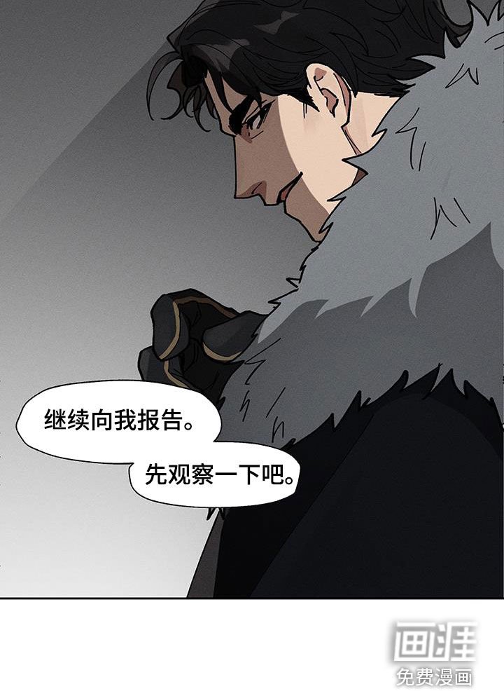 第25章：圆滚滚的鸟