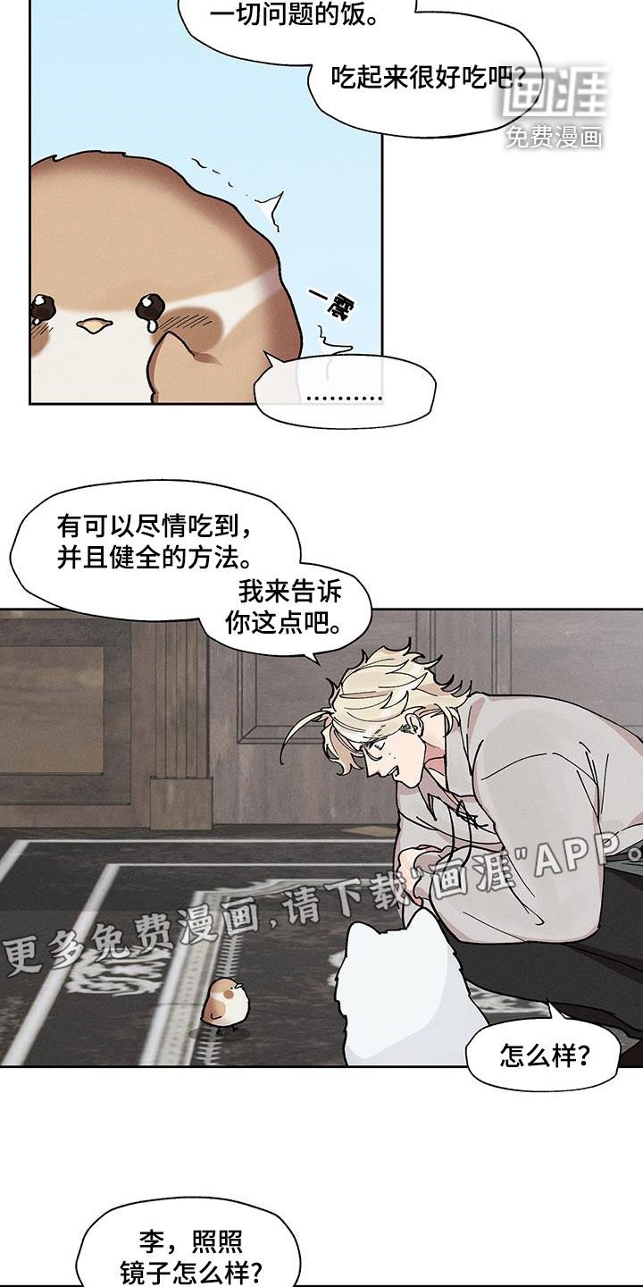 第26章：过于肥胖