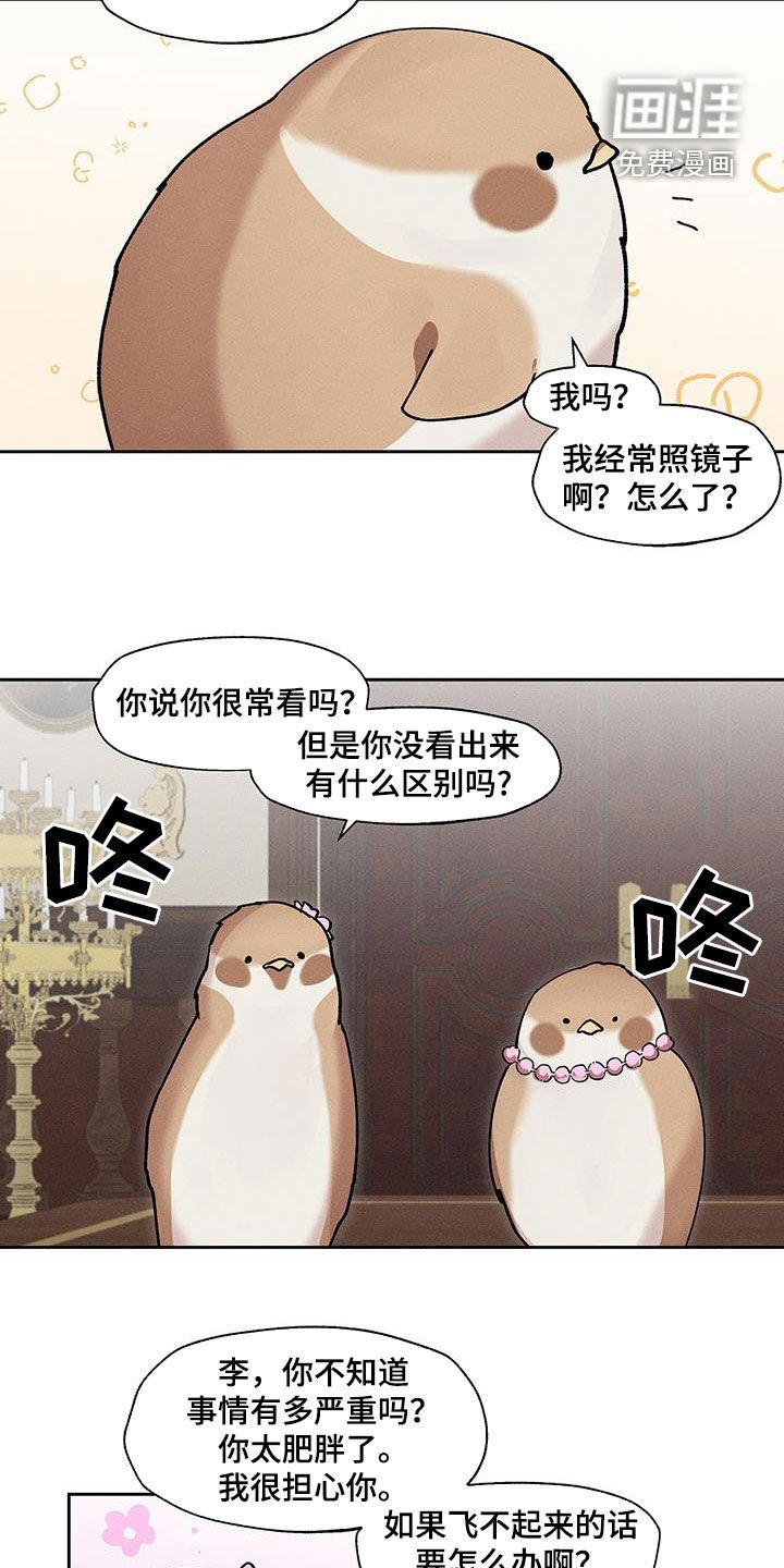 第26章：过于肥胖