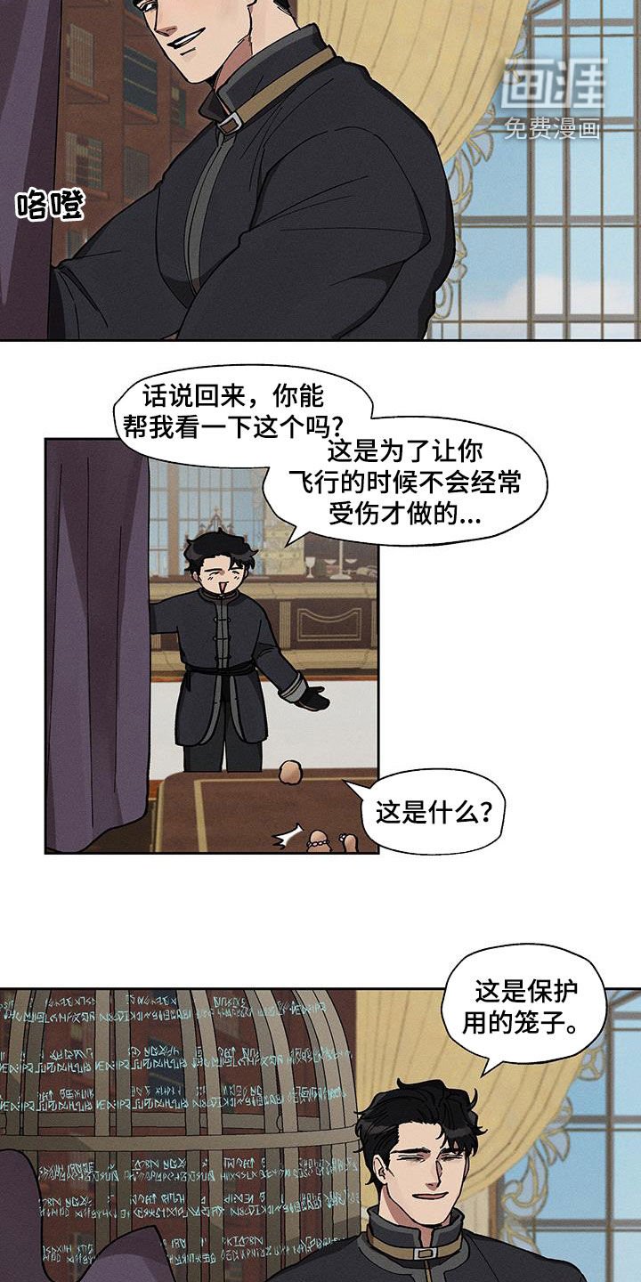 第26章：过于肥胖
