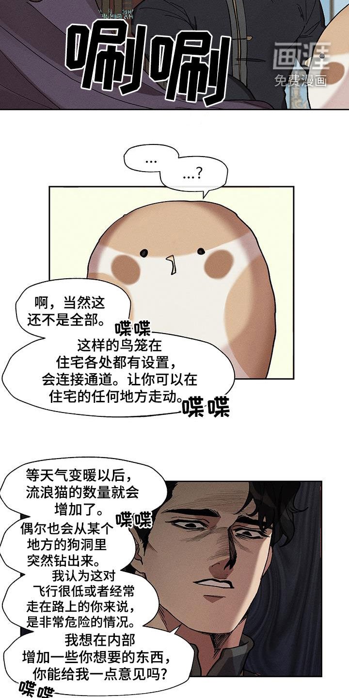 第26章：过于肥胖