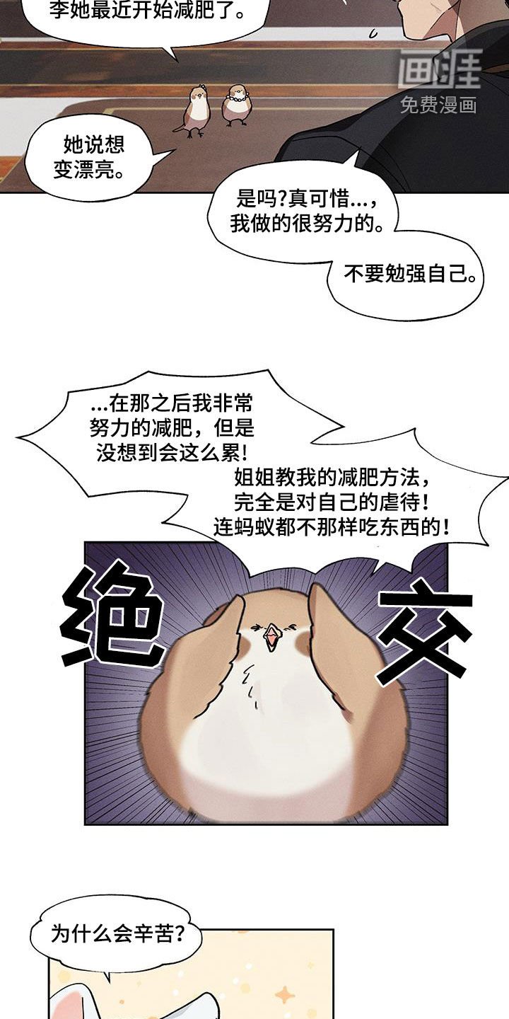 第26章：过于肥胖