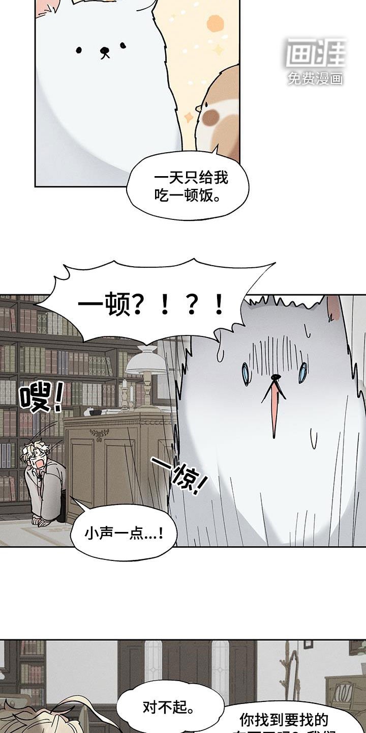 第26章：过于肥胖