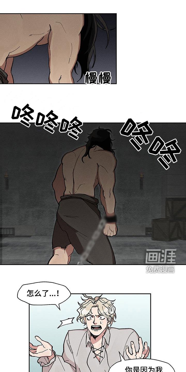 第28章：同情