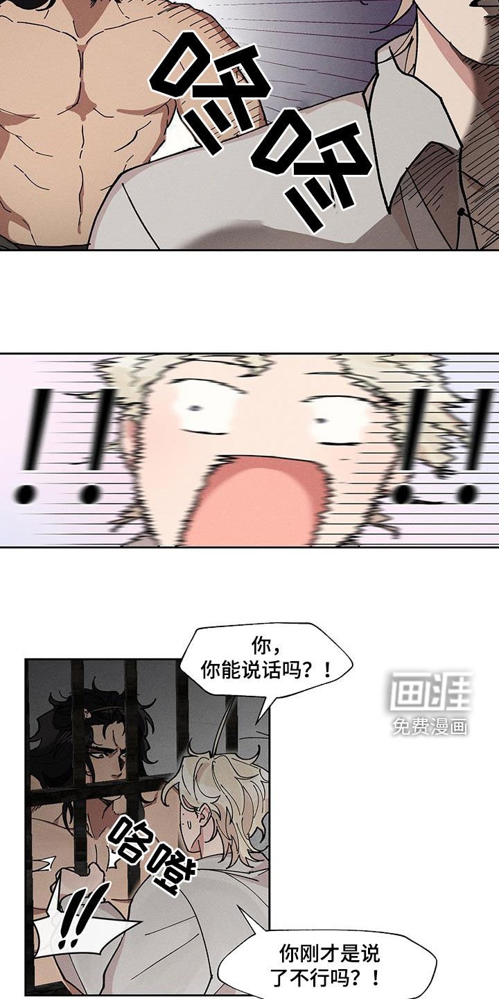 第28章：同情