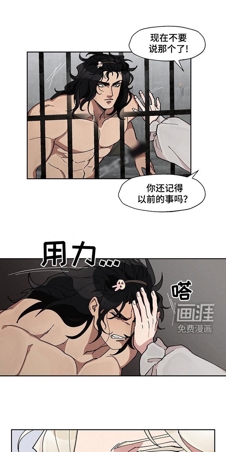第28章：同情