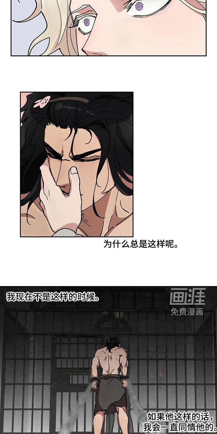 第28章：同情