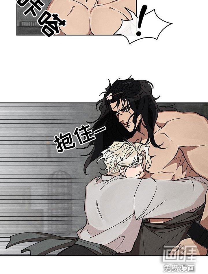 第28章：同情