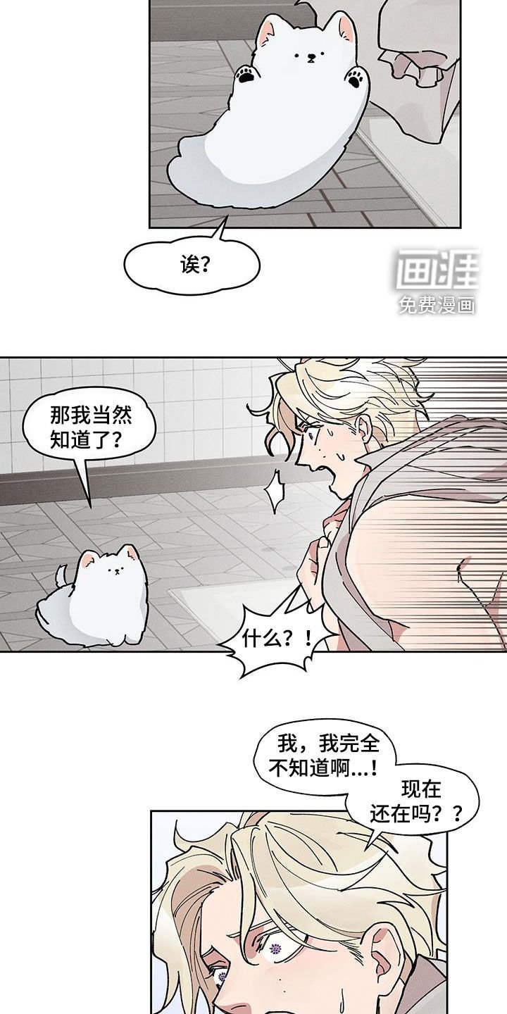 第33章：骗人
