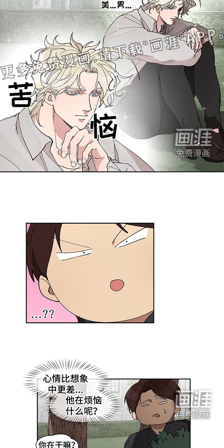 第40章：脸蛋的差距