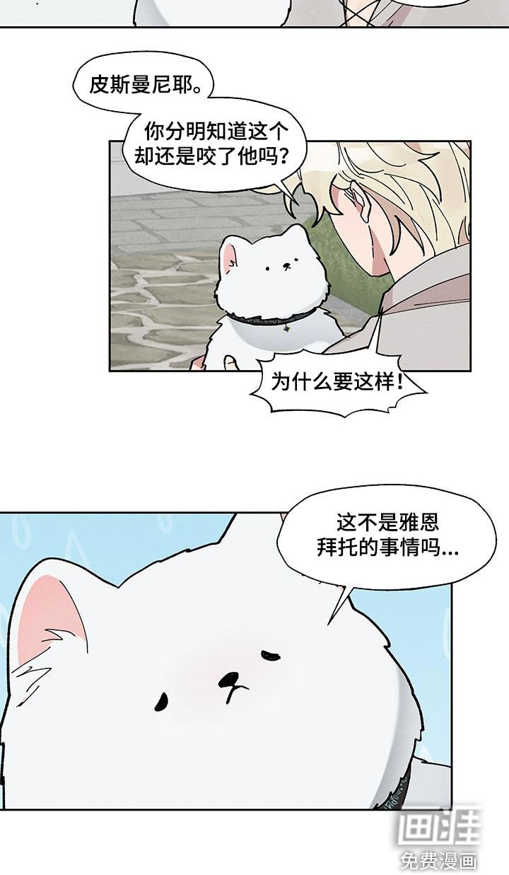 第40章：脸蛋的差距