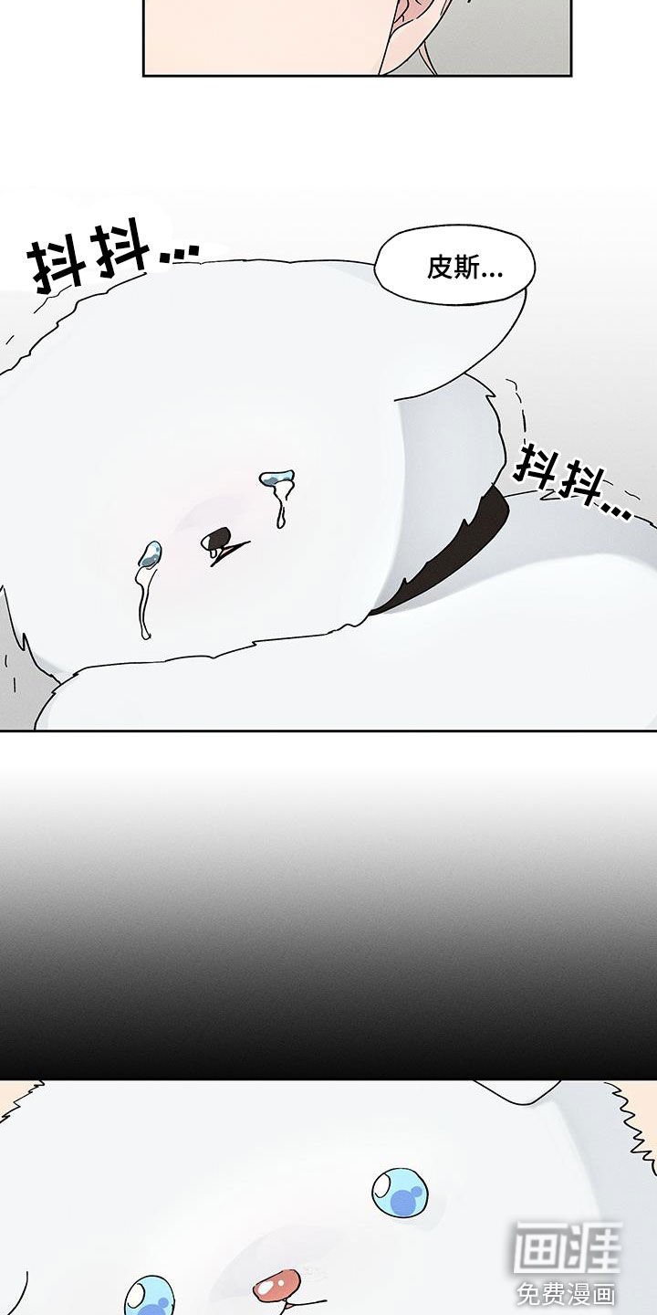 第41章：吓尿