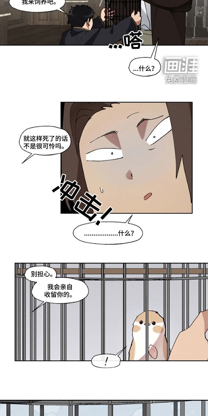 第51章：收留