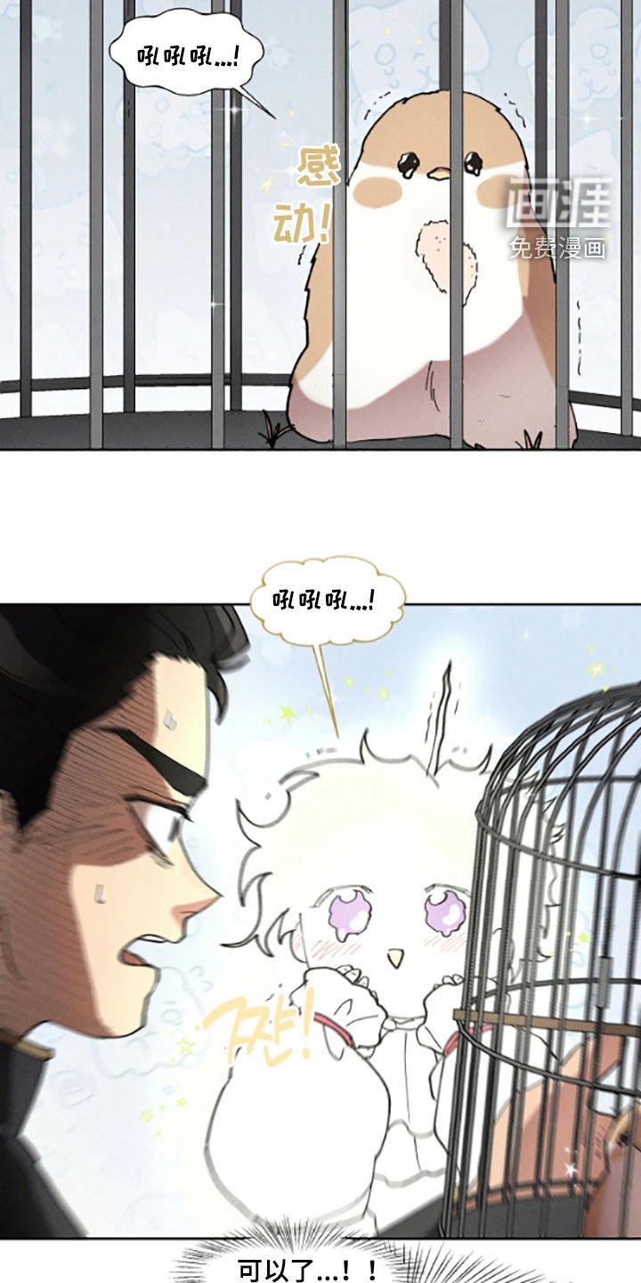 第51章：收留