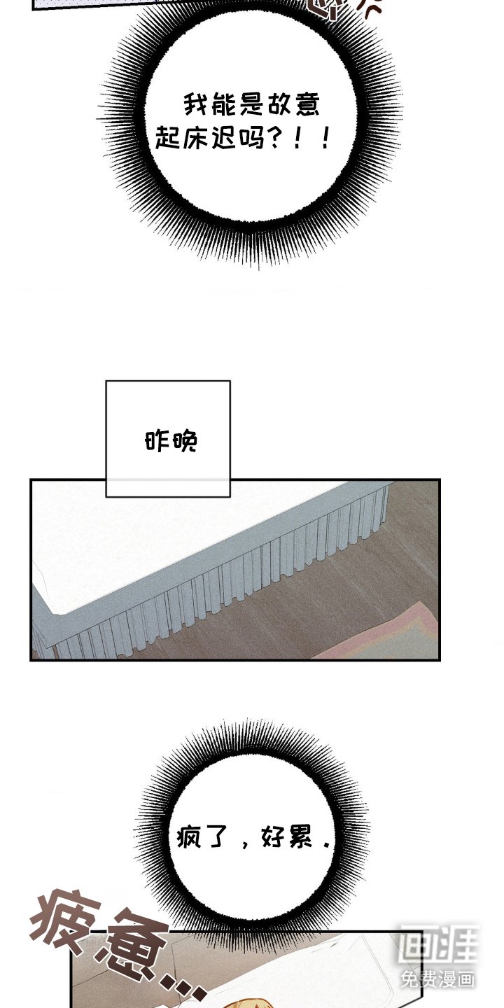 第16章：惩罚的书