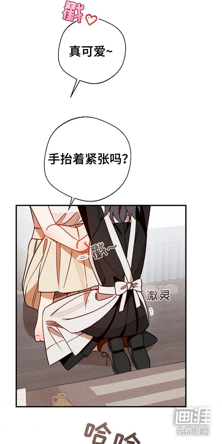 第16章：惩罚的书