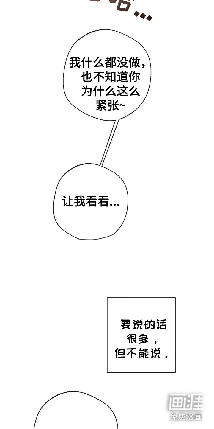 第16章：惩罚的书