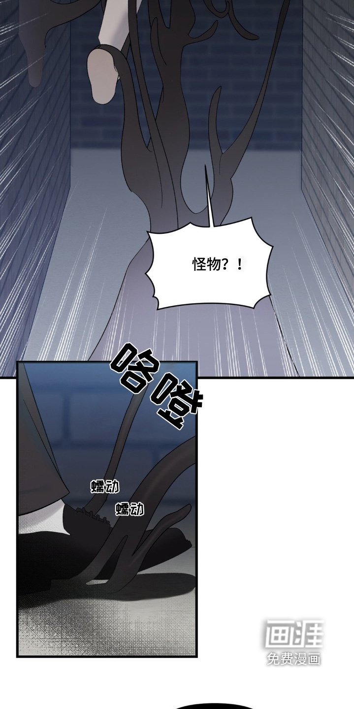 第28章：我们回家