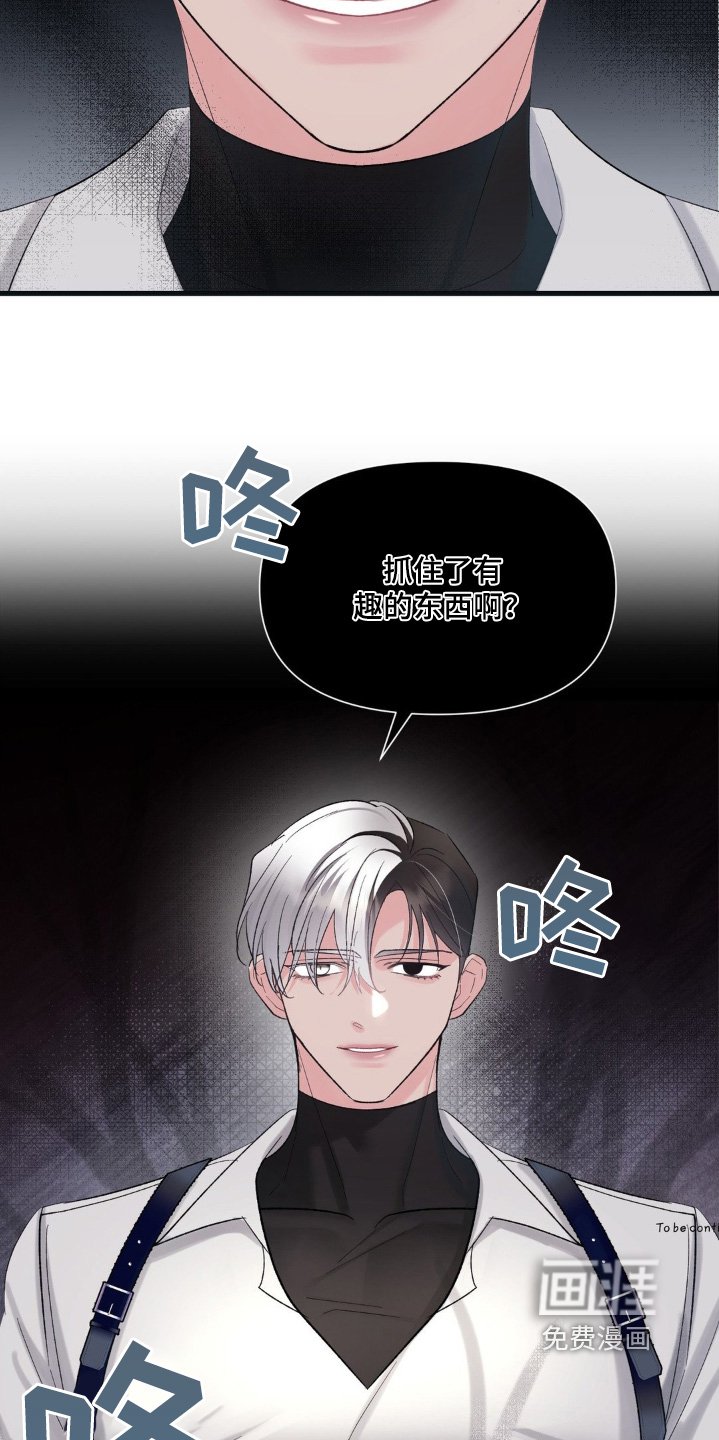 第28章：我们回家