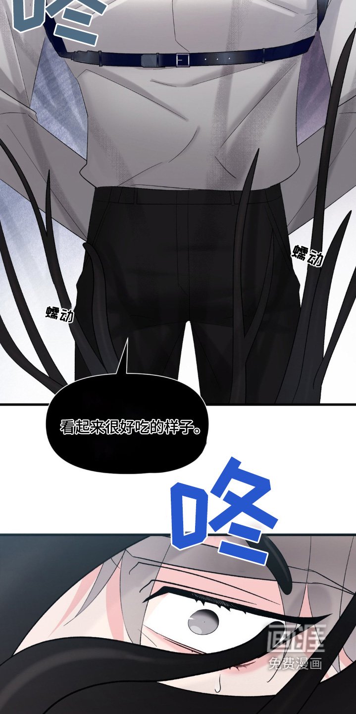 第28章：我们回家