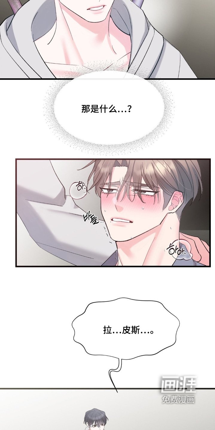第29章：我们回去吧