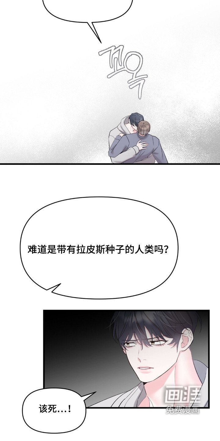 第29章：我们回去吧