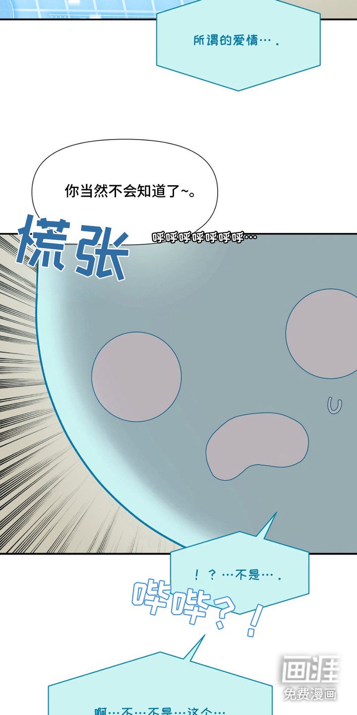 第7章：稳定下来